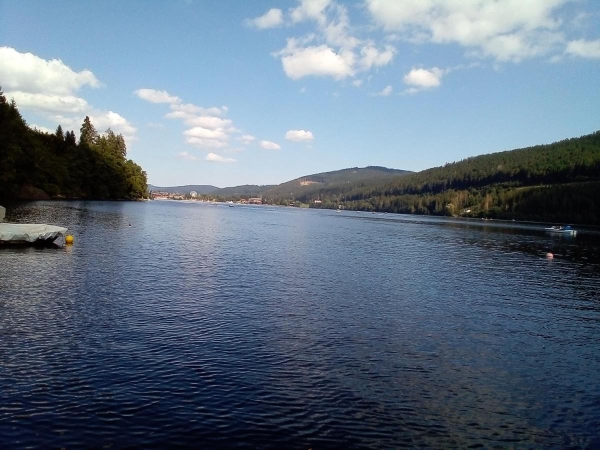 Schwarzwald - Villa Appartments Titisee Exteriör bild