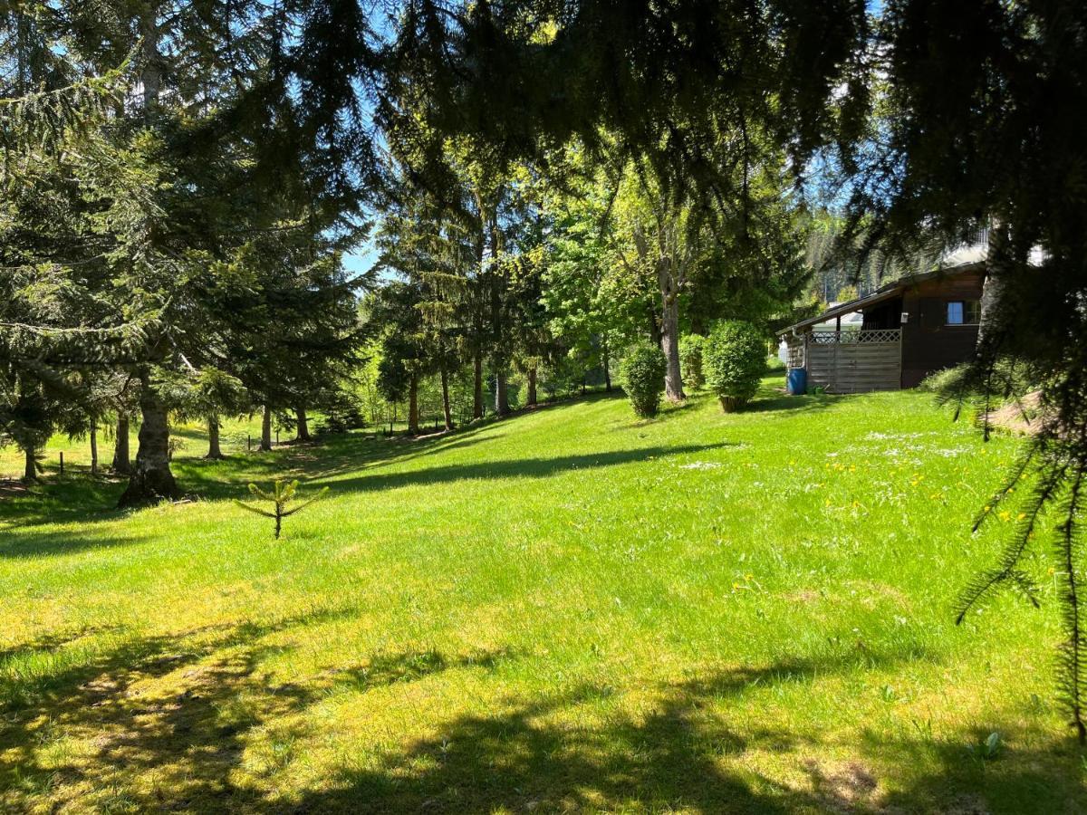 Schwarzwald - Villa Appartments Titisee Exteriör bild