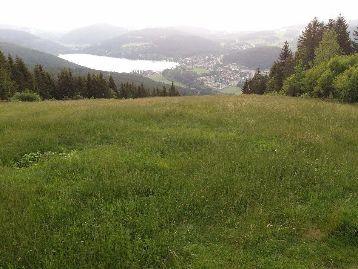 Schwarzwald - Villa Appartments Titisee Exteriör bild